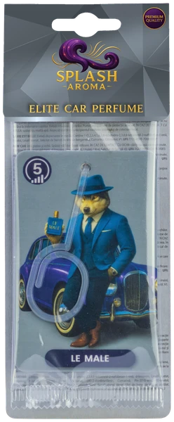 elegant man sm